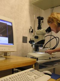 Binokulární mikroskop s připojením na počítač s možností focení zkoumaného materiálu
