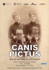 pes canis pictus