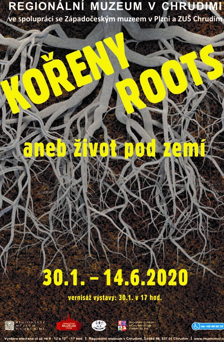 plakát Kořeny nejmenší 2