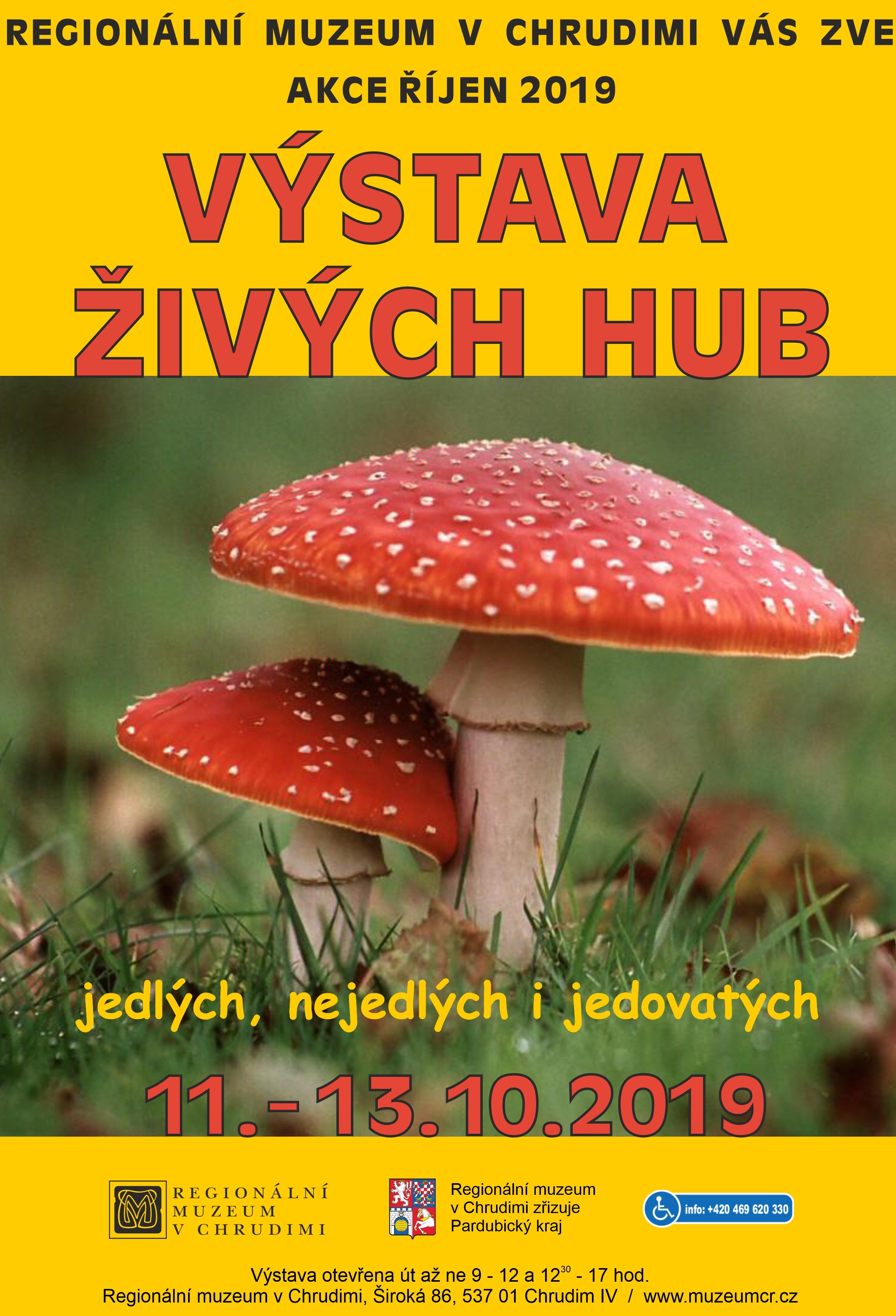 plakát houby třídenní 2